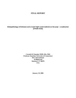 final report - RAVELLI SPA