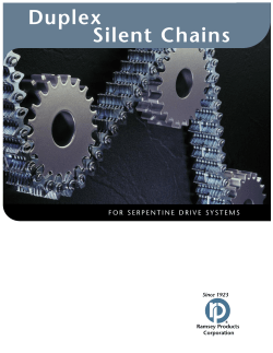 Duplex Silent Chains