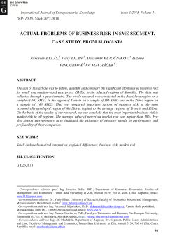 actual problems of business risk in sme segment. case study from