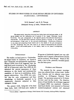 STUDIES ON HEAD PORES OF SOME INDIAN SPECIES OF