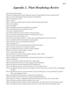Appendix 2. Plant Morphology Review
