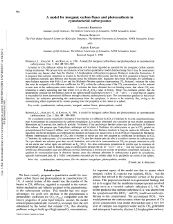 A model for inorganic carbon fluxes and photosynthesis in