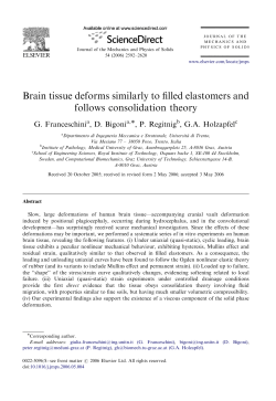 Brain tissue deforms similarly to filled elastomers and follows