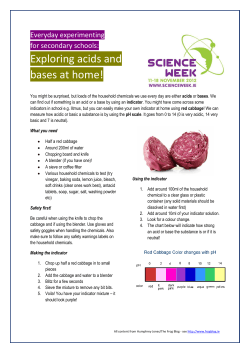 Exploring acids and bases at home!