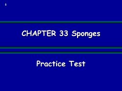 Financial Performance