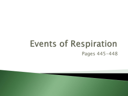 Ch 13 Events of Respiration pgs. 445-448