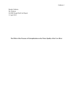 Calderon Brenda Calderon Mr. Dickson GLOBE Rough Draft Lab