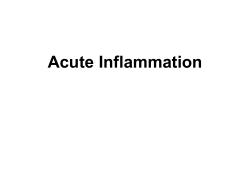 Inflammation - SlidesFinder.com