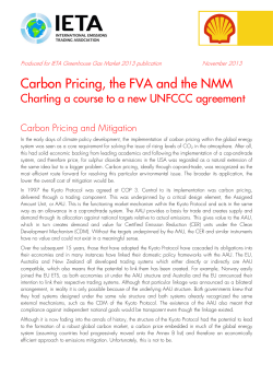 Carbon Pricing, the FVA and the NMM