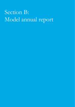 Section B: Model annual report