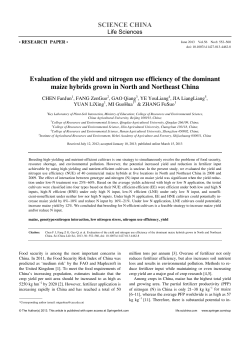 Evaluation of the yield and nitrogen use efficiency of the dominant