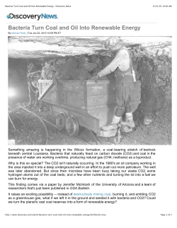 Bacteria Turn Coal and Oil Into Renewable Energy