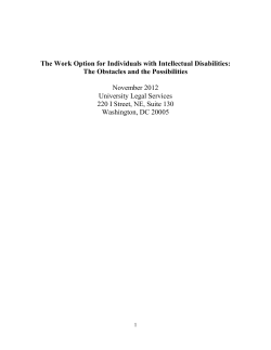 The Work Option for Individuals with Intellectual Disabilities: The