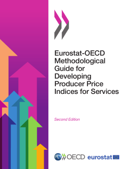 Eurostat-OECD Methodological Guide for Developing Producer
