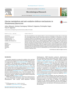 Glycine metabolism and anti-oxidative defence mechanisms in