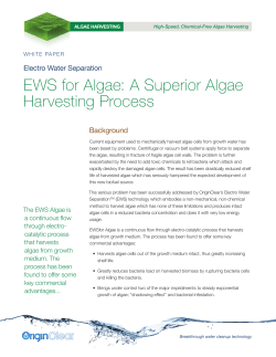 EWS for Algae