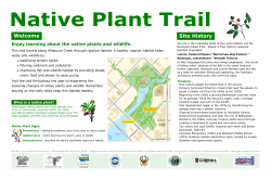 Introduction - Native Plant Trail Sign