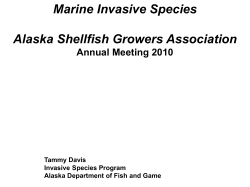 Marine Invasive Species Alaska Shellfish