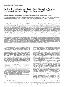 In Situ Investigation of Leaf Water Status by