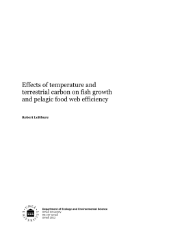 Effects of temperature and terrestrial carbon on fish