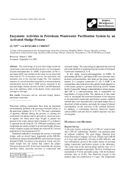Enzymatic Activities in Petroleum Wastewater Purification System by