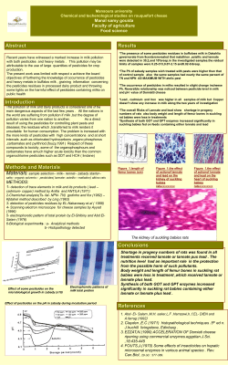 48h x 30w poster template