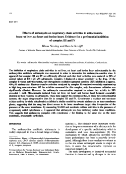 Effects of adriamycin on respiratory chain activities in mitochondria