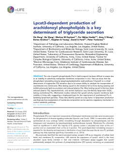 Lpcat3-dependent production of arachidonoyl phospholipids is a