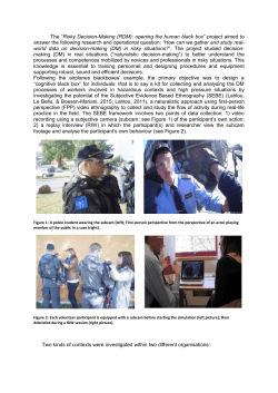 final1-final-publishable-summary