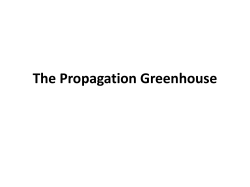 The Propagation Greenhouse