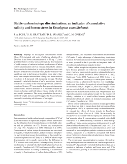 Stable carbon isotope discrimination: an indicator of cumulative