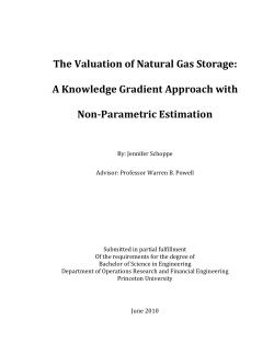 The Valuation of Natural Gas Storage - CASTLE Lab