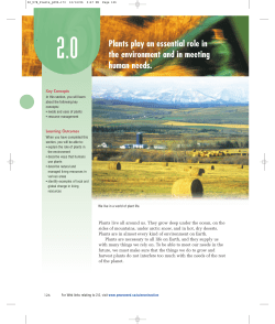 Plants play an essential role in the environment and in meeting