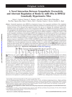 A Novel Interaction Between Sympathetic Overactivity and Aberrant