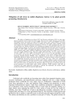 Mitigation of salt stress in radish