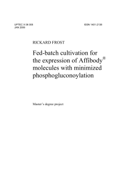 Fed-batch cultivation for the expression of Affibody molecules with
