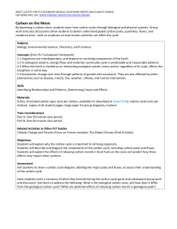 Following Carbon*s Journey