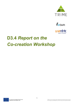 PDF Report &ndash; Pro-Creation Workshop