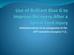 Use of Brilliant Blue G to Improve Recovery After a Spinal Cord Injury