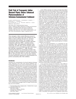Field Trial of Transgenic Indian Mustard Plants Shows Enhanced