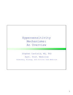 Hypersensitivity Mechanisms: An Overview