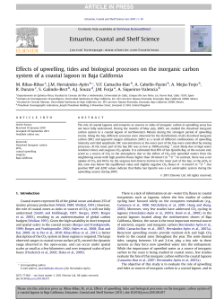 Effects of upwelling, tides and biological processes on the inorganic