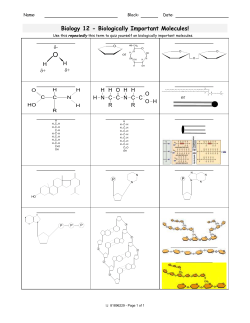 Biology 12 - Biological Important Molecule Structure