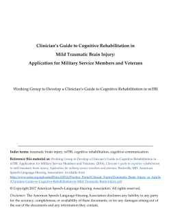 Clinician`s Guide to Cognitive Rehabilitation in Mild Traumatic Brain