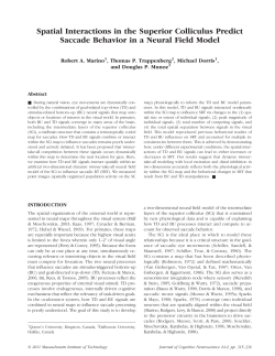 Spatial Interactions in the Superior Colliculus Predict Saccade