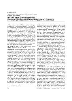 maltose-binding protein switches programmed cell death in