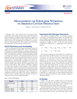 Management of Fertilizer Nitrogen in Arizona Cotton Production