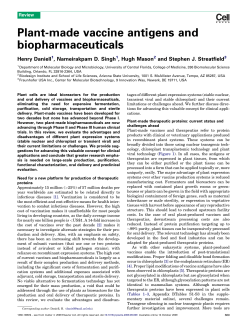 Plant-made vaccine antigens and biopharmaceuticals