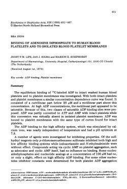 BINDING OF ADENOSINE DIPHOSPHATE TO HUMAN BLOOD