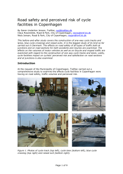 Safety and security on cycle tracks in Copenhagen